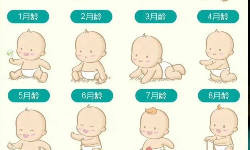哺乳期能用甲硝唑片塞阴道里吗网 - 网站提供哺乳期可以用甲硝唑栓剂治疗妇科病吗小常识、甲硝唑栓哺乳期可以用吗写的禁用